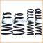 Factory Direct Stainless Steel Wire Shaped Compression Springs