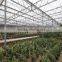 AL Frame Agricultural PE Horticultural Green House for Sale