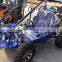Cheap Racing go Kart for Sale ( 250K-9)