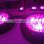 135w Led Grow Light 45x3W With Optical Lens,best for Plants Growth and Flowering