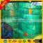 DIN55Si7 62Si2MnA 65Mn cold rolled heat treatment steel strip
