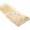 2017 hot selling hair product fast shipping clip in hair extension