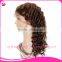 Natural Hairline Gluless Silk Top Full Lace Afro Kinky Human Hair Wig