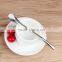 Amazon Hot Selling Stainless Steel Filter Spoon Straw and Yerba Mate Straw