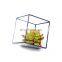 geometric terrarium geometric glass terrarium wholesale