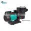 Professional Swimming Pool Water Pump Circulation Salt Water Wave Swimming Pool Water Pump