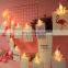 Factory price battery powered 2M 10LED photo clip string lights