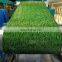Grass Design Full Hard G550 Prepainted Steel Coil