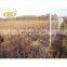 Cheap 4 ft 5 ft goat fencing galvanized farm field wire mesh cattle fence price