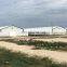 10000 chickens poultry house building