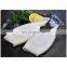 High quality frozen white squid tube for export