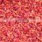 Sinocharm BRC A approved IQF Red Pepper Dices 10 X 10 mm Frozen Red Pepper Dices 10 X 10