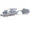 DPP-250 Automatic Thermoforming Sealing Pill Tablet Capsule Blister Packaging Machine