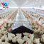 Steel Structure Room Pre Engineering Building Poultry Farming prefabricated chicken house