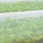 Special Crop Cover Plant Protection Fabric Insect Netting Various Sizes