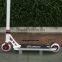 Professional Scooters For Sale