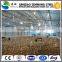 Different types of layer egg chicken cage/poultry farm house design fan