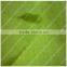 Waterproof Nylon Taffeta Fabric