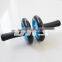 Hot Sale Fitness Exercise Wheel