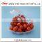 New Design Popular Plastic Heart shaped Fruit Container