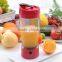 2016 NEW Electric Juice Extractor, Electric Juicer Drink Bottle, Ice Crusher Smoothie Maker
