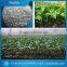 agriculture expanded perlite