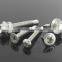 SS Screw