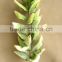 Hot sales decorative new special Artificial Dyed Eva Flower 36" Succulent long Stem for Home Decoration