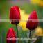 Chinese factory cheap wholesale red-lip fresh cut tulips flower for Tulip Festival