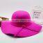 Promotional Winter Ladies Wide Brime Wool Felt Hat