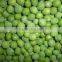 China good price IQF Frozen green peas