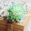 New Design Plastic Mini Succulent Plants Artificial Succulent Plastic For Decoration