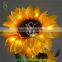 24V Life Size Artificial Sunflower Light