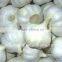 Quality Garlic to EUR. Markets