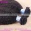 Grade 6A double wefts tangle free 100% unprocessed kinky straight hair weave malaysian hair wholesale distributors