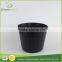tree seed plant nursery pots