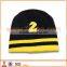 Design 2D embroidery winter hat