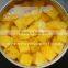 Hot Sale Canned Vietnam Pineapple