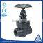 forged steel socket welded globe valve with competitive price
