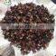 China Sichuan Pepper corn