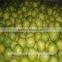 2016 new crop fresh pomelo