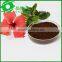 Gmp factory pure Ganoderma Lucidum spore Powder