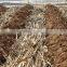 Super Livestock feed pellet forming machine/sawdust pellet machine for sale