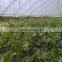 Liquid Fertilizer
