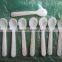 High Quality Spoon, Spoon Safe for Food, Spoon Made From Natural Seashell
