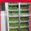 soyabean sprouts processing machine