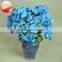2017 trending prouct High Quality orchid Flower Artificial silk Flowers moth orchid