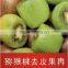 Durable fruit and vegetable peeling machine