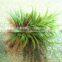 Home and outdoor garden edging christmas decoration 60cm or 24inches Height artificial small grass for green wall E04 1027