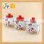 3pcs Ceramic Canister With Spoon